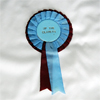 Burnley Rosette